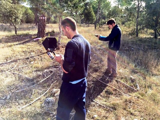 operador Überbaum pino piñonero