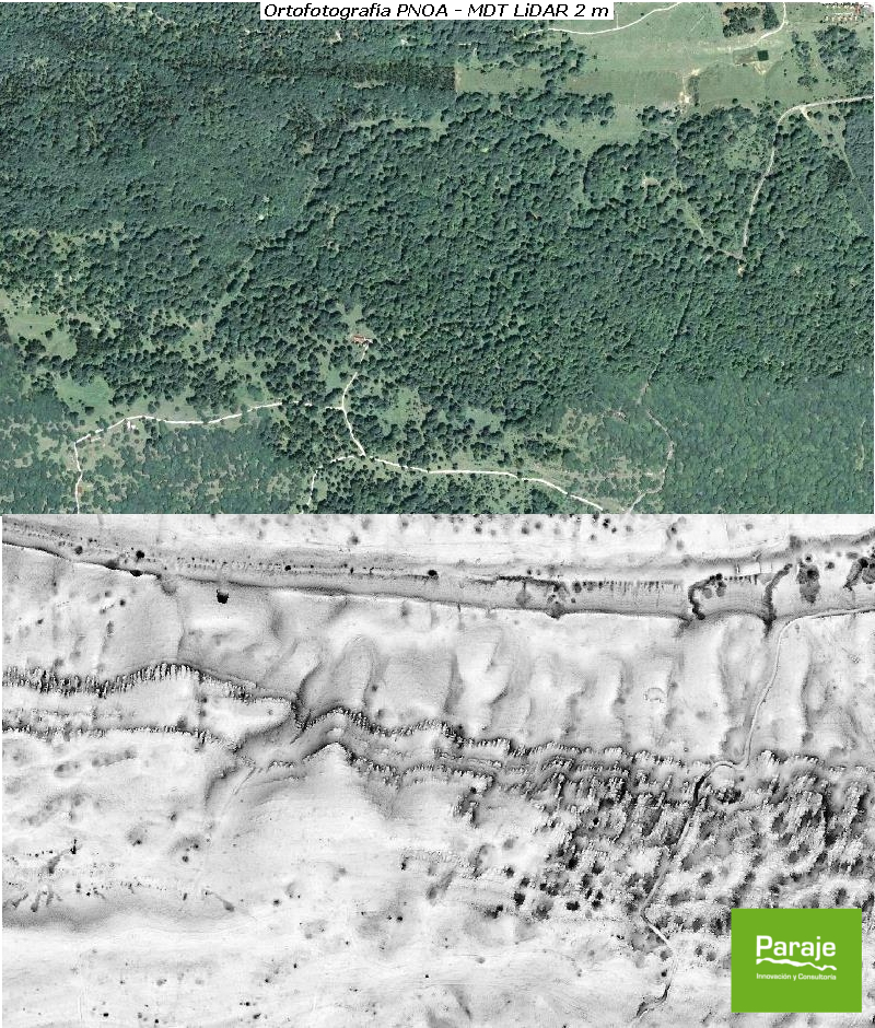 Aplicación de SVF a MDT